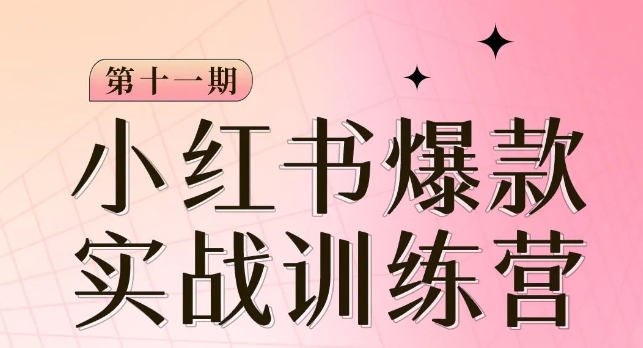 小红书博主爆款训练营第11期，手把手教你从0-1做小红书，从定位到起号到变现-赚金金-技能学习分享