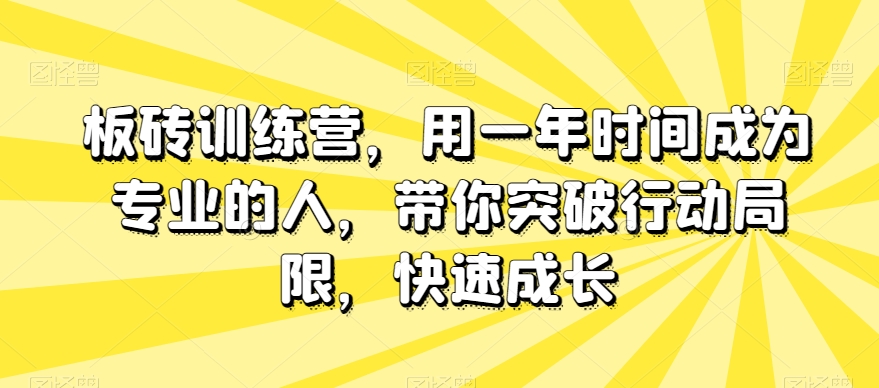 板砖训练营，用一年时间成为专业的人，带你突破行动局限，快速成长-赚金金-技能学习分享