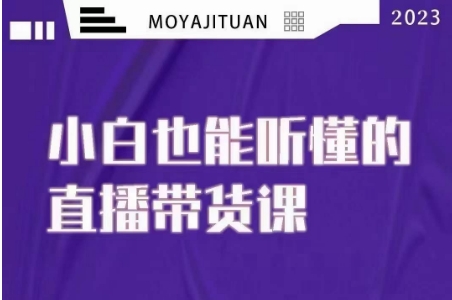 大威本威·能听懂的直播带货课，小白也能听懂，20节完整-赚金金-技能学习分享
