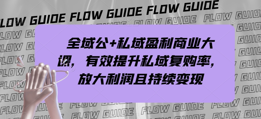 全域公+私域盈利商业大课，有效提升私域复购率，放大利润且持续变现-赚金金-技能学习分享