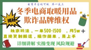 利用电商平台冬季销售取暖用品欺诈行为合理制裁店铺,单日入900+【仅揭秘】-赚金金-技能学习分享