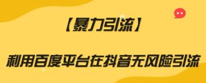 【暴力引流】利用百度平台在抖音无风险引流【揭秘】-赚金金-技能学习分享
