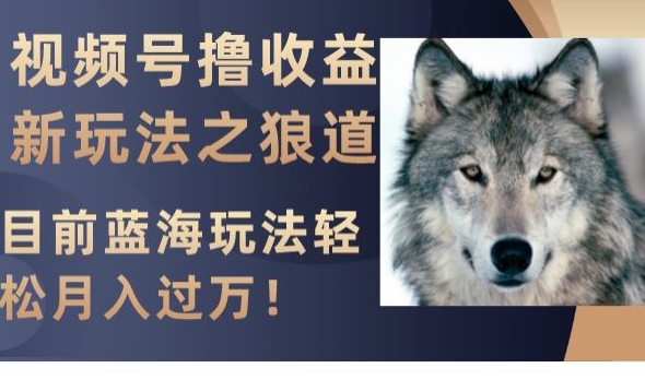 视频号撸收益新玩法之狼道，目前蓝海玩法，轻松月入过万【揭秘】-赚金金-技能学习分享