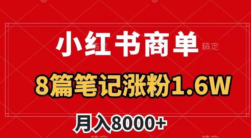 小红书商单最新玩法，8篇笔记涨粉1.6w，作品制作简单，月入8000+【揭秘】-赚金金-技能学习分享