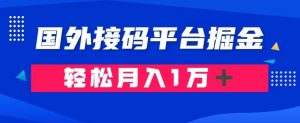 通过国外接码平台掘金:成本1.3,利润10+,轻松月入1万+【揭秘】-赚金金-技能学习分享