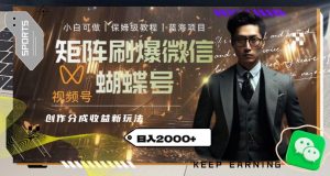 矩阵刷爆微信蝴蝶号创作者分成计划收益的新玩法,日入2000+【揭秘】-赚金金-技能学习分享