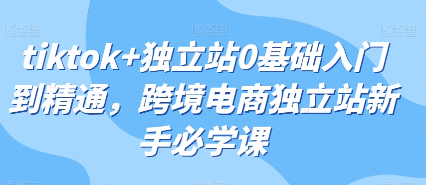tiktok+独立站0基础入门到精通，跨境电商独立站新手必学课-赚金金-技能学习分享
