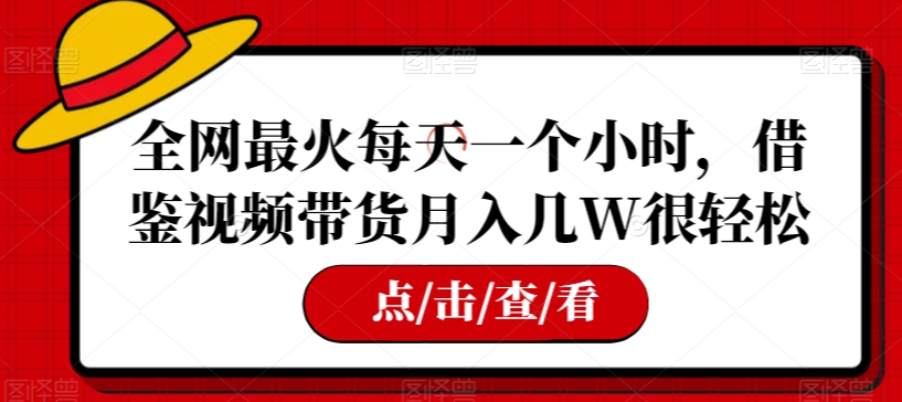 全网最火每天一个小时,借鉴视频带货月入几W很轻松【揭秘】-赚金金-技能学习分享