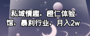私域情趣，橙仁体验馆，暴利行业，月入2w【揭秘】-赚金金-技能学习分享