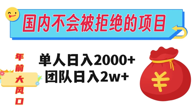 在国内不怕被拒绝的项目，单人日入2000，团队日入20000+【揭秘】-赚金金-技能学习分享