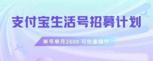 支付宝生活号作者招募计划，单号单月2600，可批量去做，工作室一人一个月轻松1w+【揭秘】-赚金金-技能学习分享