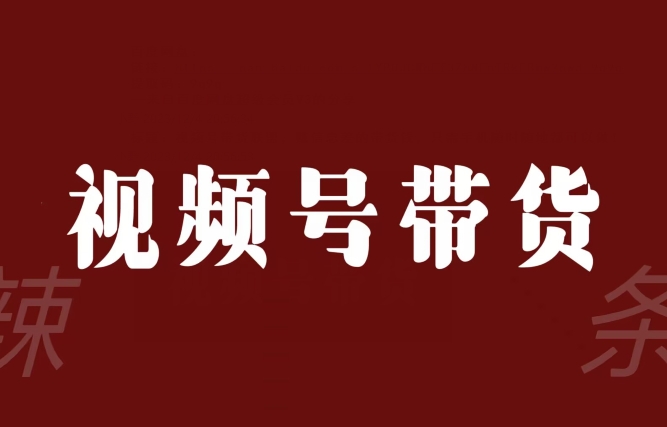 视频号带货联盟，赚信息差的带货钱，只需手机随时随地都可以做！-赚金金-技能学习分享