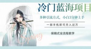 冷门蓝海项目，操作简单，小白3分钟上手，多种引流方式，保姆式全流程教学【揭秘】-赚金金-技能学习分享