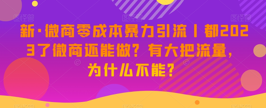 新·微商零成本暴力引流丨都2023了微商还能做？有大把流量，为什么不能？-赚金金-技能学习分享