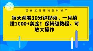 每天观看30分钟视频，一月躺赚1000+美金！保姆级教程，可放大操作【揭秘】-赚金金-技能学习分享
