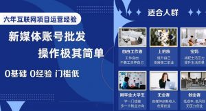 新媒体账号批发,操作极其简单,0基础0经验门槛低【揭秘】-赚金金-技能学习分享