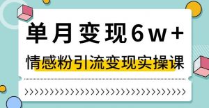 单月变现6W+,抖音情感粉引流变现实操课,小白可做,轻松上手,独家赛道【揭秘】-赚金金-技能学习分享