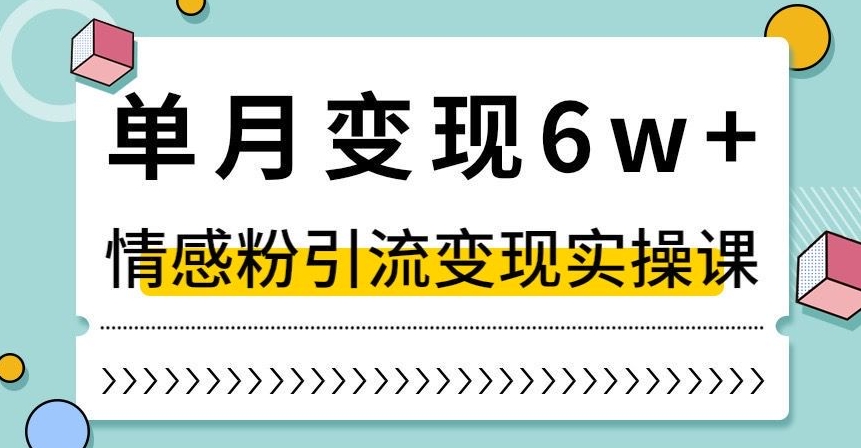 单月变现6W+，抖音情感粉引流变现实操课，小白可做，轻松上手，独家赛道【揭秘】-赚金金-技能学习分享