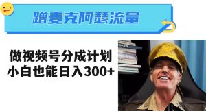 蹭麦克阿瑟热点,做视频号分成计划,小白三分钟一条日入300+【揭秘】-赚金金-技能学习分享