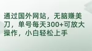 通过国外网站，无脑赚美刀，单号每天300+可放大操作，小白轻松上手【揭秘】-赚金金-技能学习分享