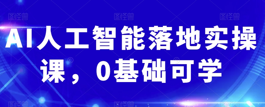 AI人工智能落地实操课，0基础可学-赚金金-技能学习分享