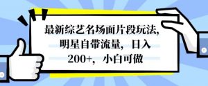 最新综艺名场面片段玩法，明星自带流量，日入200+，小白可做【揭秘】-赚金金-技能学习分享