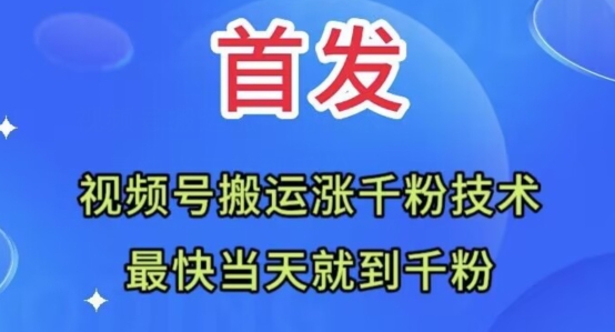 全网首发：视频号无脑搬运涨千粉技术，最快当天到千粉【揭秘】-赚金金-技能学习分享