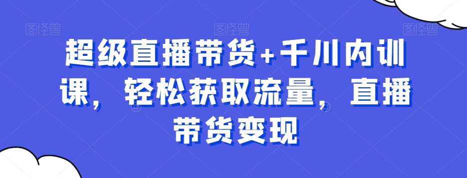 超级直播带货+千川内训课，轻松获取流量，直播带货变现-赚金金-技能学习分享