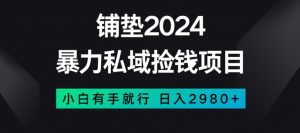 暴力私域捡钱项目,小白无脑操作,日入2980【揭秘】-赚金金-技能学习分享