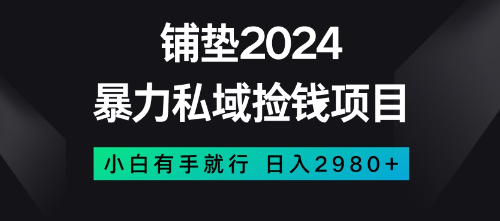 暴力私域捡钱项目，小白无脑操作，日入2980【揭秘】-赚金金-技能学习分享