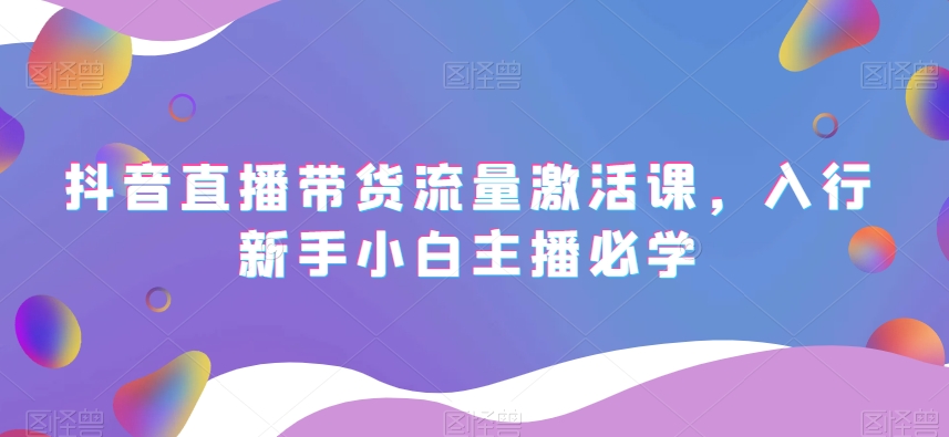 抖音直播带货流量激活课，入行新手小白主播必学-赚金金-技能学习分享