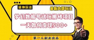 数据号回归玩法游戏试玩搬砖项目再创日入500+【揭秘】-赚金金-技能学习分享