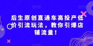 后生原创直通车高投产低价引流玩法,教你引爆店铺流量!-赚金金-技能学习分享