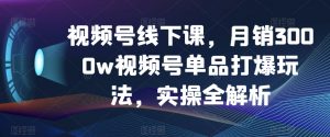 视频号线下课，月销3000w视频号单品打爆玩法，实操全解析-赚金金-技能学习分享
