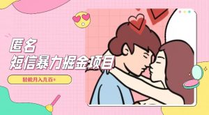 全网首发,揭秘超冷门匿名短信项目,通过信息差日入几百+【揭秘】-赚金金-技能学习分享