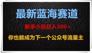 最新蓝海赛道,新手小白日入500+,你也能成为下一个公众号流量主【揭秘】-赚金金-技能学习分享