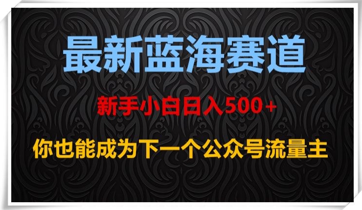 最新蓝海赛道，新手小白日入500+，你也能成为下一个公众号流量主【揭秘】-赚金金-技能学习分享