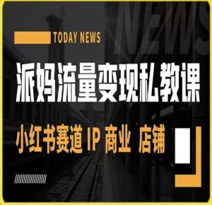 派妈流量变现私教课,小红书赛道IP  商业  店铺 -赚金金-技能学习分享