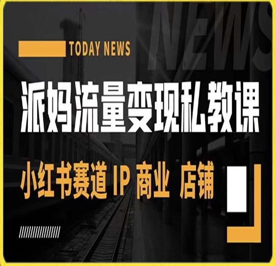 派妈流量变现私教课,小红书赛道IP  商业  店铺 -赚金金-技能学习分享