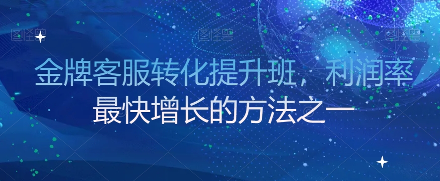 金牌客服转化提升班,利润率最快增长的方法之一-赚金金-技能学习分享