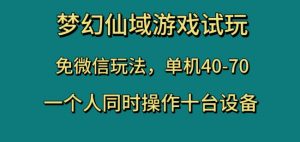 梦幻仙域游戏试玩,免微信玩法,单机40-70,一个人同时操作十台设备【揭秘】-赚金金-技能学习分享