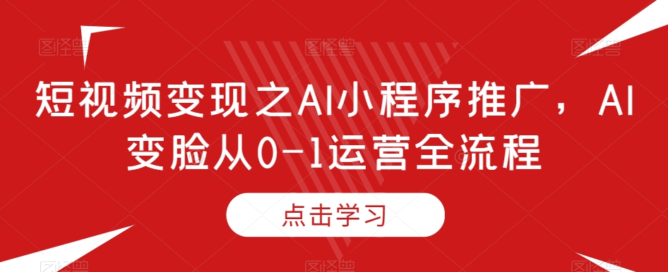 短视频变现之AI小程序推广,AI变脸从0-1运营全流程-赚金金-技能学习分享