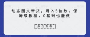 动态图文带货,月入5位数,保姆级教程,0基础也能做【揭秘】-赚金金-技能学习分享