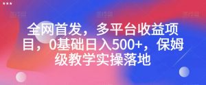 全网首发,多平台收益项目,0基础日入500+,保姆级教学实操落地【揭秘】-赚金金-技能学习分享