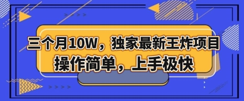 三个月10W,独家最新王炸项目!操作简单,上手极快【揭秘】-赚金金-技能学习分享
