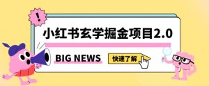 小红书玄学掘金项目,值得常驻的蓝海项目,日入3000+附带引流方法以及渠道【揭秘】-赚金金-技能学习分享