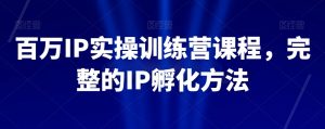 百万IP实操训练营课程,完整的IP孵化方法-赚金金-技能学习分享