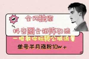 全网独家抖音图文矩阵引流,一招教你玩转公域流量,单号半月涨粉10w+【揭秘】-赚金金-技能学习分享