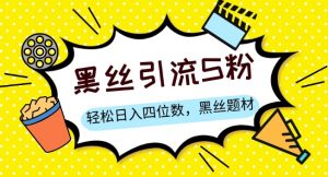 S粉变现,轻松日入四位数,黑丝题材+情感话术【揭秘】-赚金金-技能学习分享