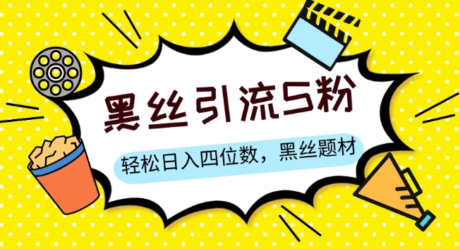 S粉变现，轻松日入四位数，黑丝题材+情感话术【揭秘】-赚金金-技能学习分享